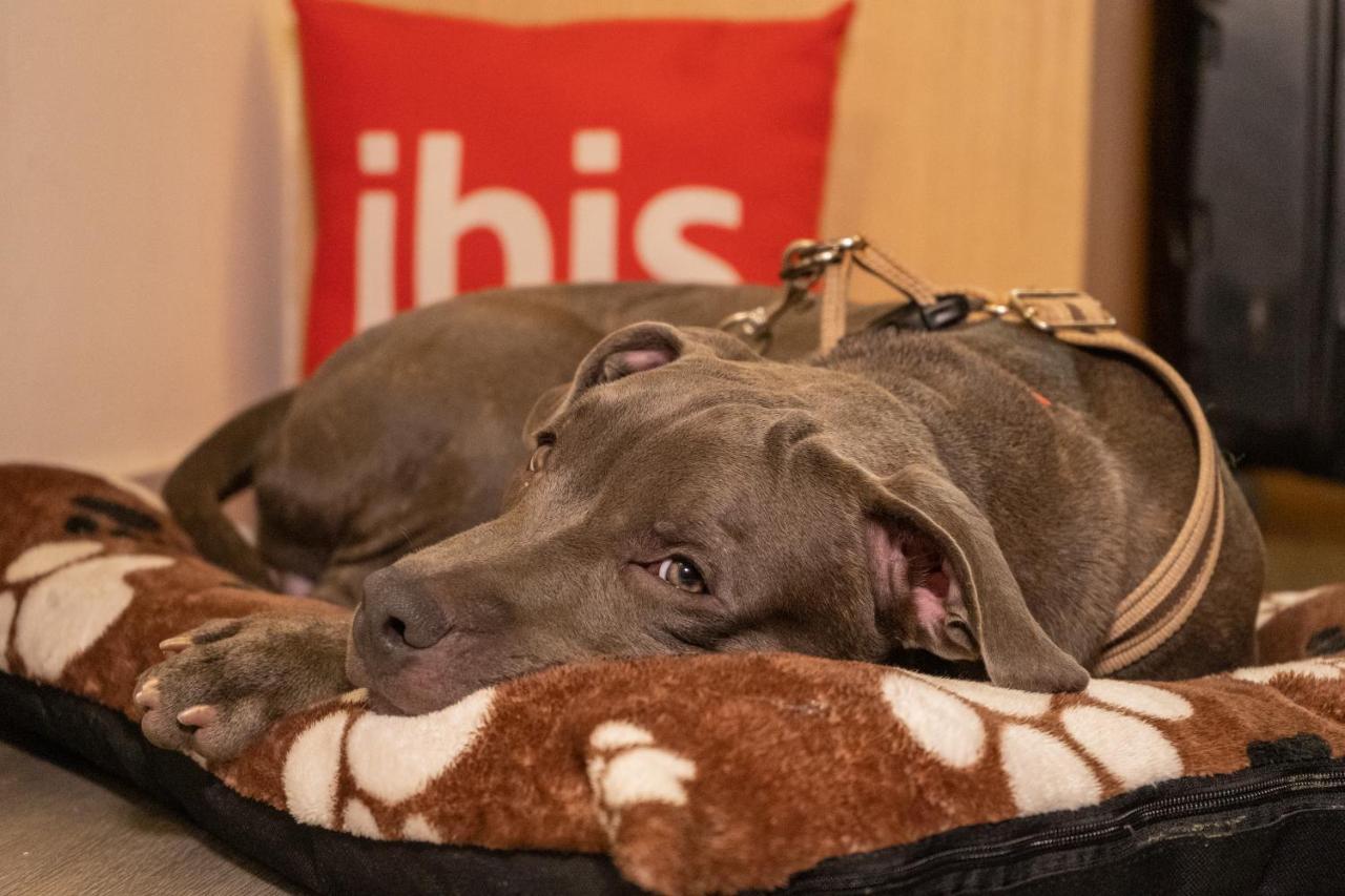 Ibis Cartagena Marbella Otel Dış mekan fotoğraf
